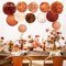 Wedding Decorations, 12 PCS Carmine Rust Orange Light Brown Tissue Paper Pom Poms and Lanterns for Rustic Classical Wedding, Baby Bridal Shower, Retro Party, New Year Party